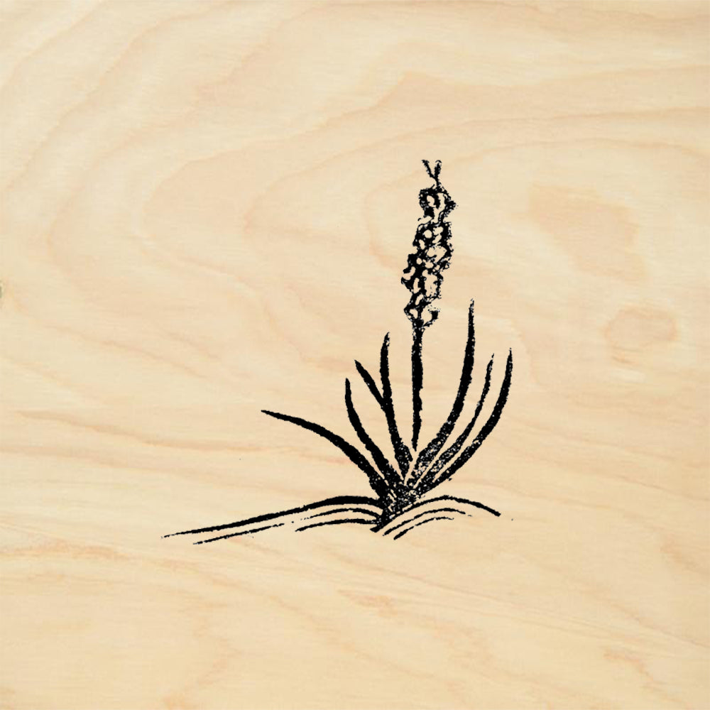 StampaFe Yucca Right Botanical Southwest Rubber Art Stamp