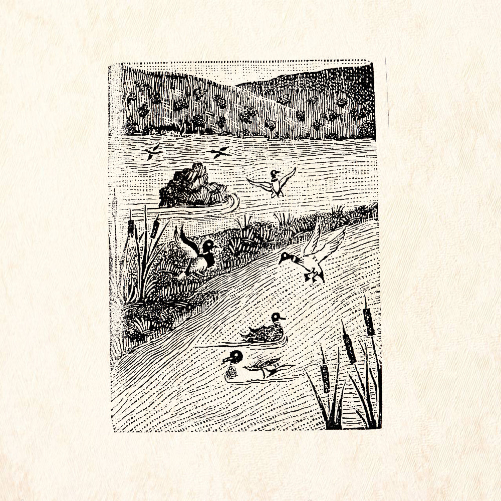 StampaFe Bosque Nature Animal Rubber Art Stamp