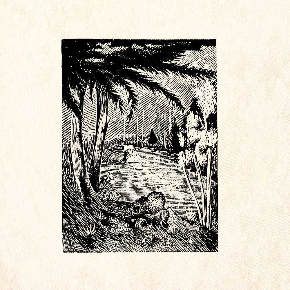 StampaFe Pecos River Nature Rubber Art Stamp