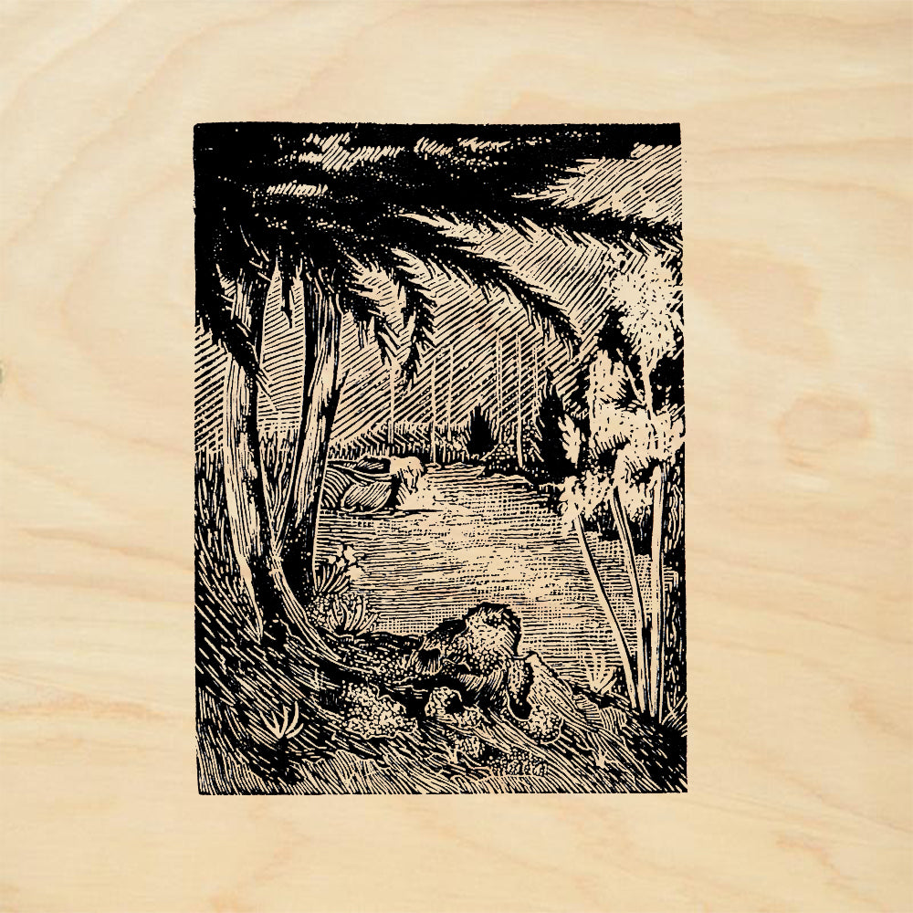 StampaFe Pecos River Nature Rubber Art Stamp