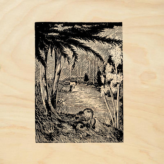 StampaFe Pecos River Nature Rubber Art Stamp